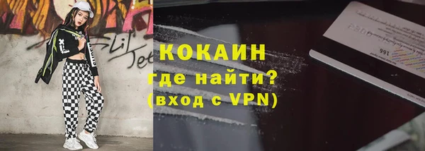 индика Горно-Алтайск