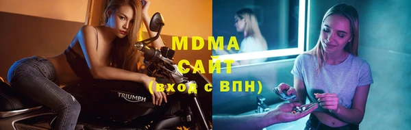 индика Горно-Алтайск