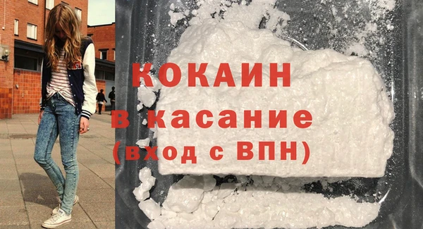 индика Горно-Алтайск