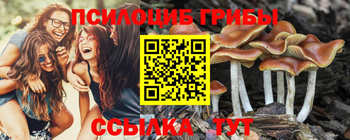 Галлюциногенные грибы MAGIC MUSHROOMS  Вход с VPN  Дмитров 
